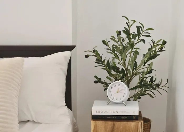 The Traveler's Haven Airbnb Apartment Cebu